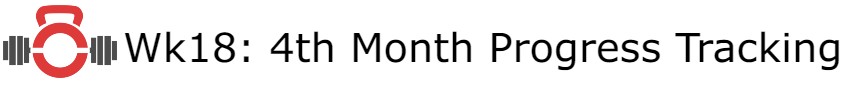 WEEK 18 : 4th Month Progress&nbsp;Tracking
