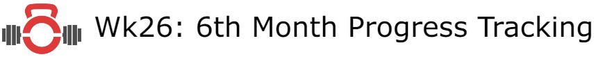 WEEK 26: 6th Month Progress&nbsp;Tracking